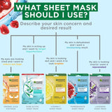 Garnier Sheet Masks Complete Collection - Set of 10 Masks for Face and Eyes