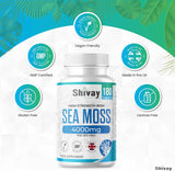 Sea Moss Extract 4000mg Per Serving - 180 Vegan Tablets - 90 Day Supply - High Strength Irish Sea Moss - Made in The UK by Shivay Herbals